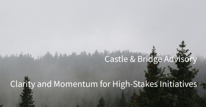 Castle & Bridge Advisory | Clarity for High‑Stakes Initiatives